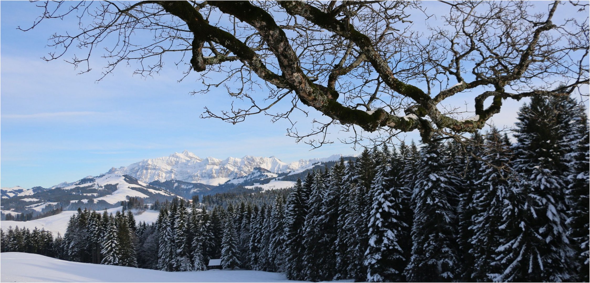 Ein frohes Weihnachtsfest...