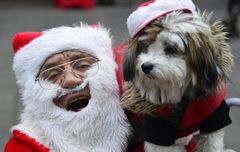 Ein frohes Weihnachtsfest