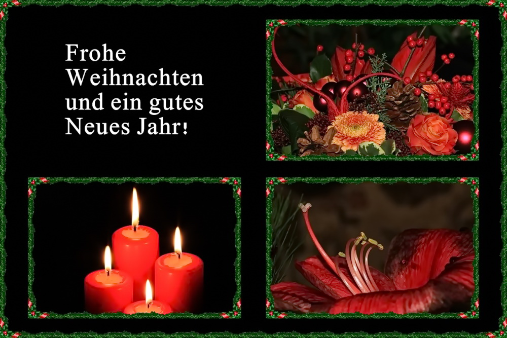 Ein frohes Weihnachtsfest...