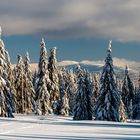 Ein frohes Weihnachtsfest und alles Gute im neuen Jahr