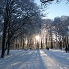 ein frohes weihnachtsfest und ein gesundes neues jahr