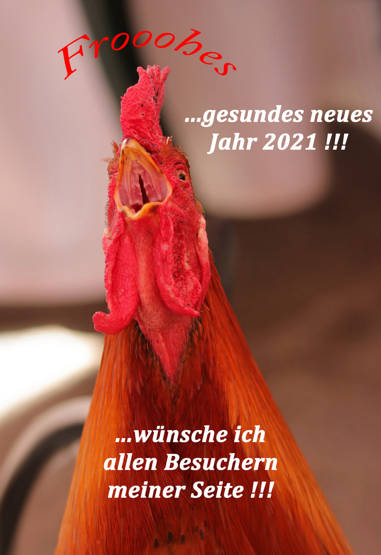 Ein frooohes neues Jahr 2021 !!!