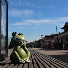 Ein Frosch auf Reisen 3