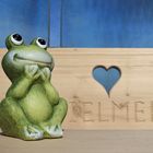 Ein Frosch auf Reisen 5