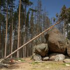 Ein Froschfelsen im Nationalpark Harz