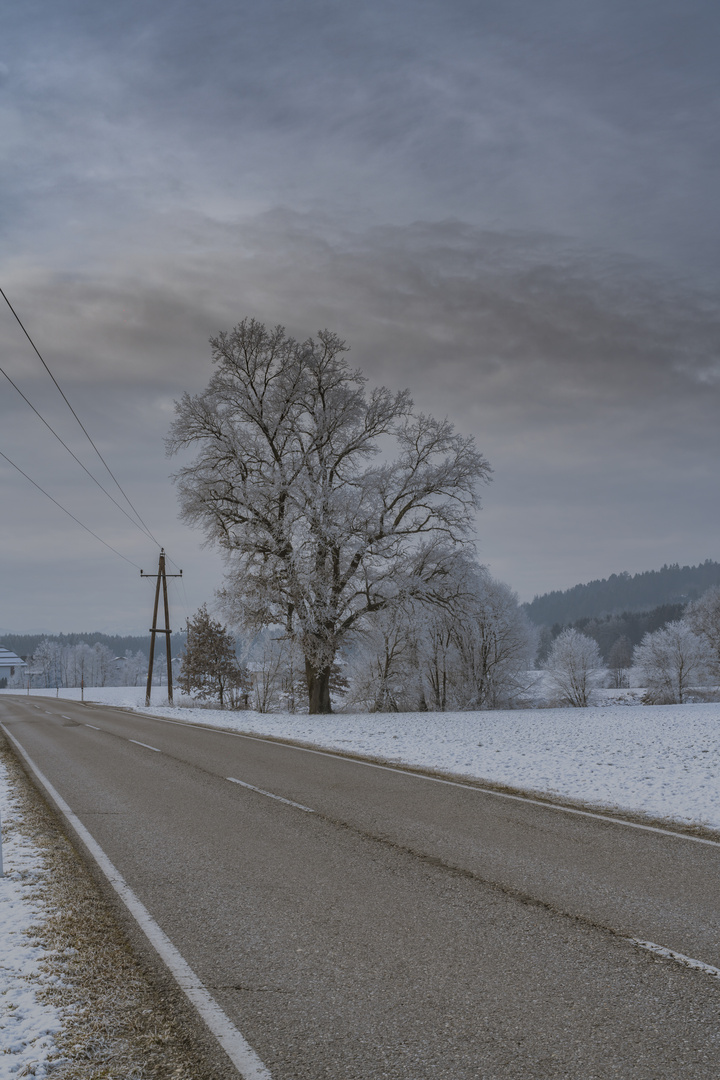 Ein frostiger Dezembertag