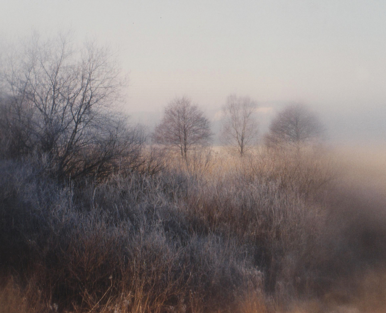 ein frostiger Januarmorgen im Saartal