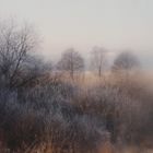 ein frostiger Januarmorgen im Saartal