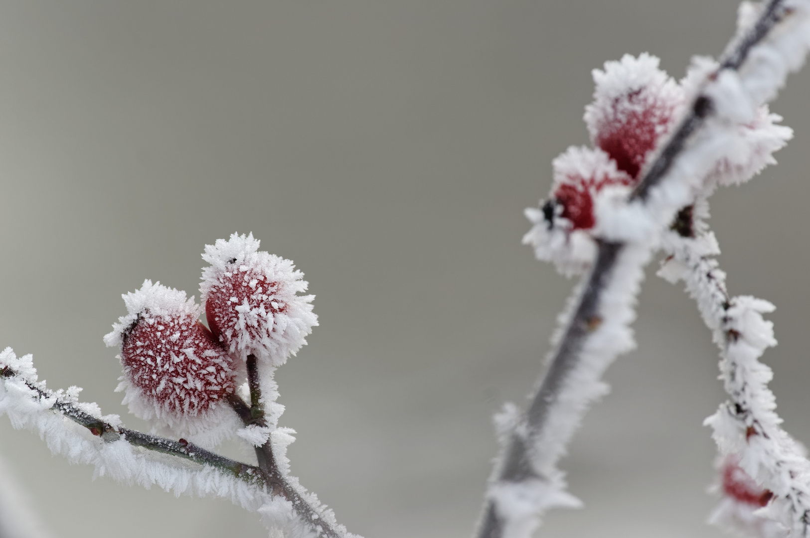 Ein frostiger Mittwoch