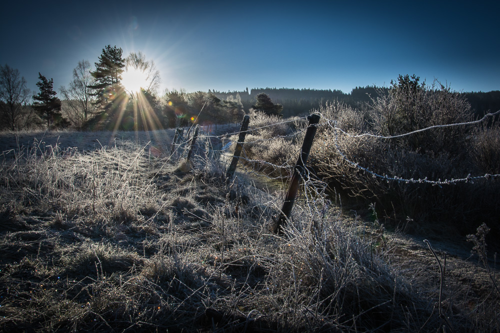 Ein frostiger Morgen