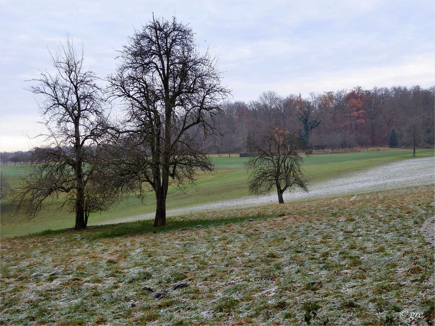 ein frostiger Morgen...