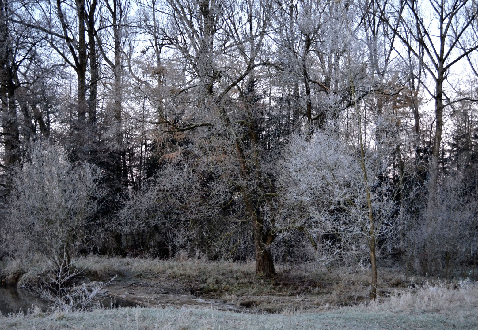 Ein Frostiger Morgen