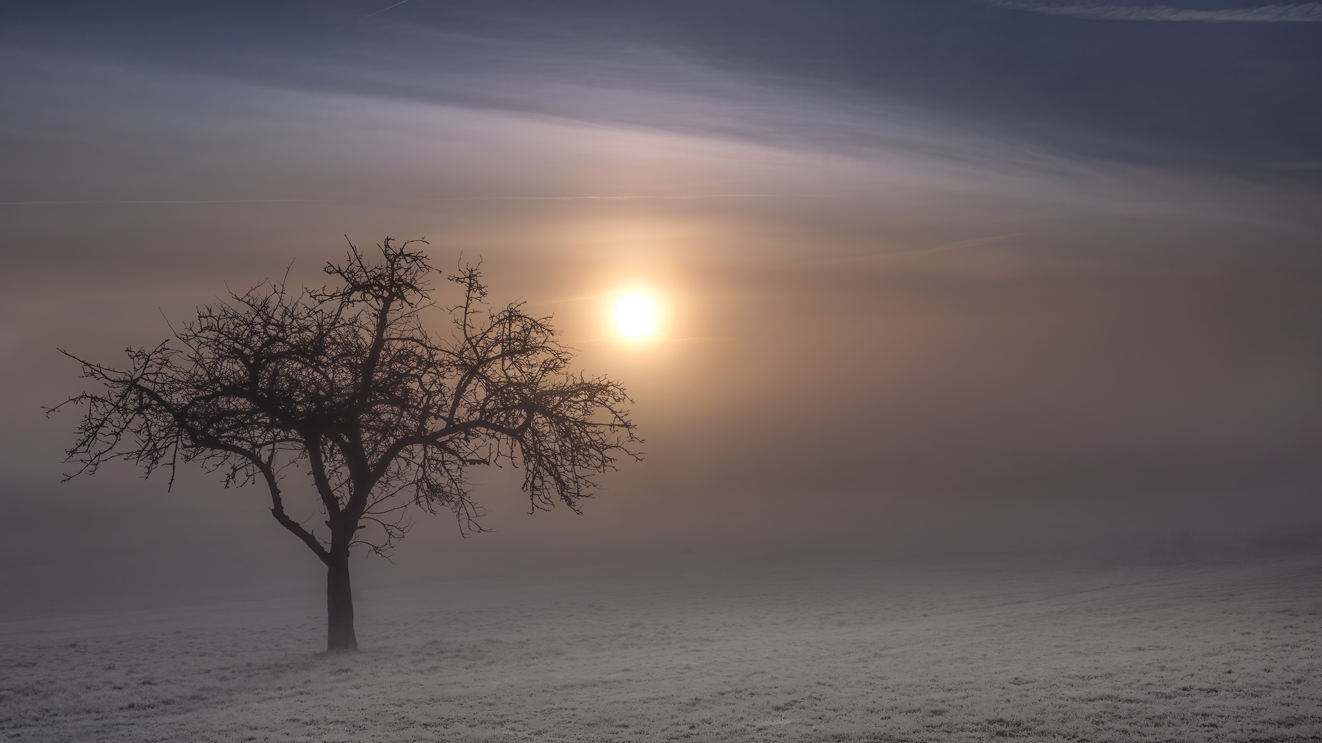 Ein frostiger Morgen Foto &amp; Bild | deutschland, europe, baden ...
