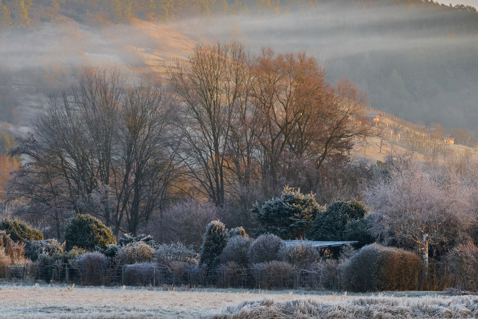 Ein frostiger Morgen...