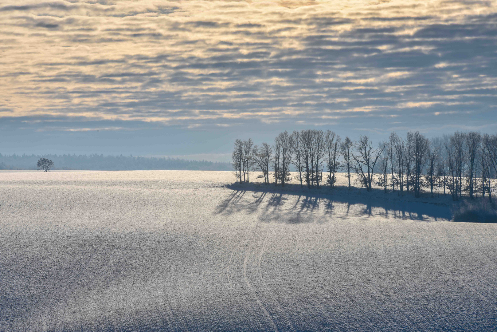 Ein frostiger Morgen