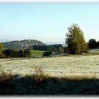 Ein frostiger Morgen . . .