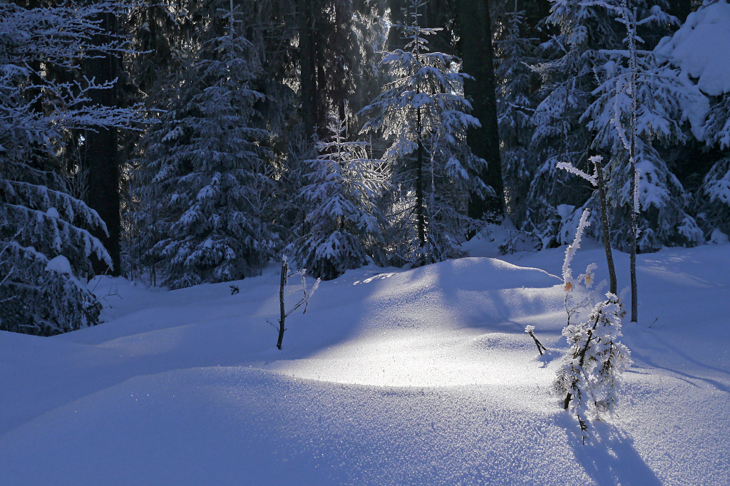 Ein frostiger Morgen