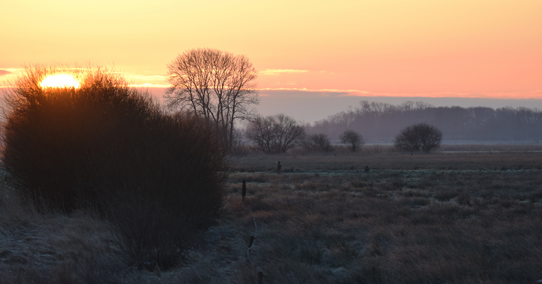 Ein frostiger Morgen