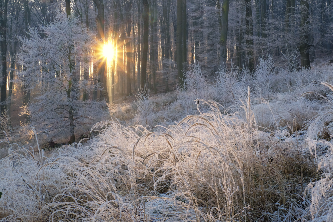 Ein frostiger Morgen