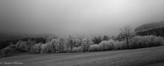 Ein frostiger Morgen ...