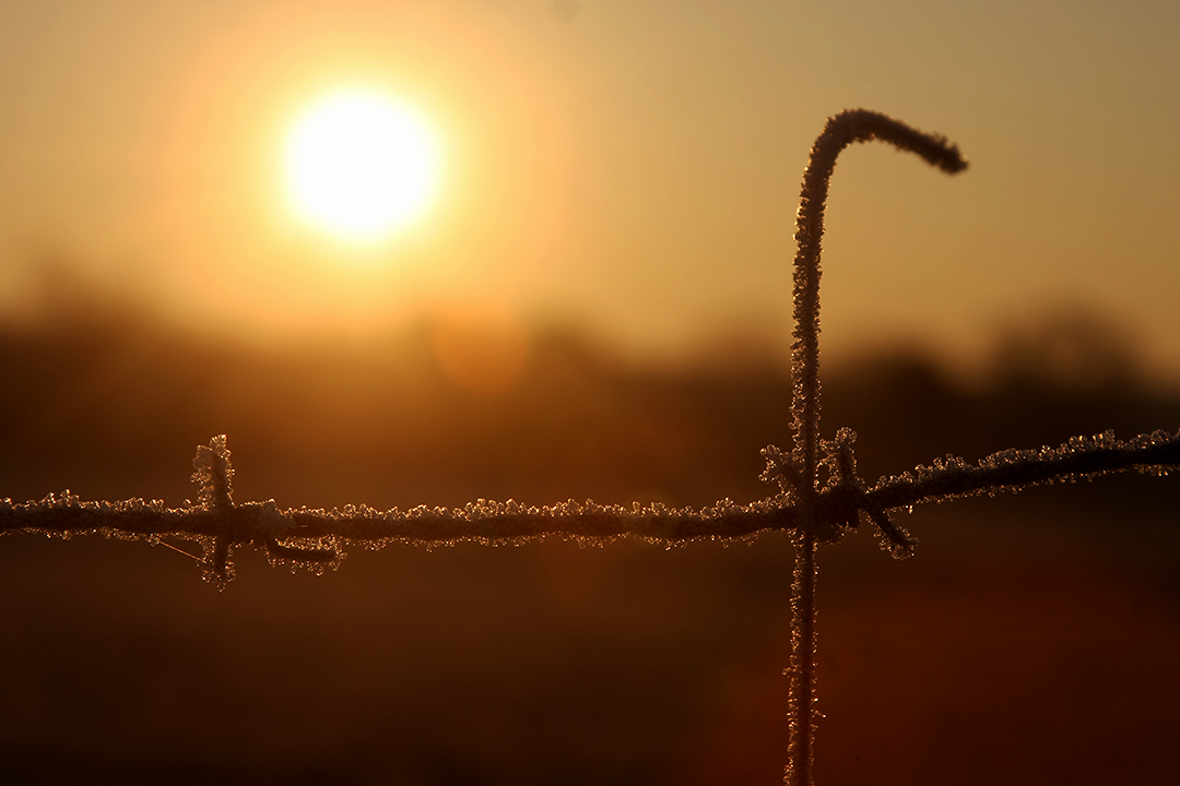 Ein frostiger Morgen