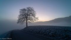 Ein frostiger Morgen ...
