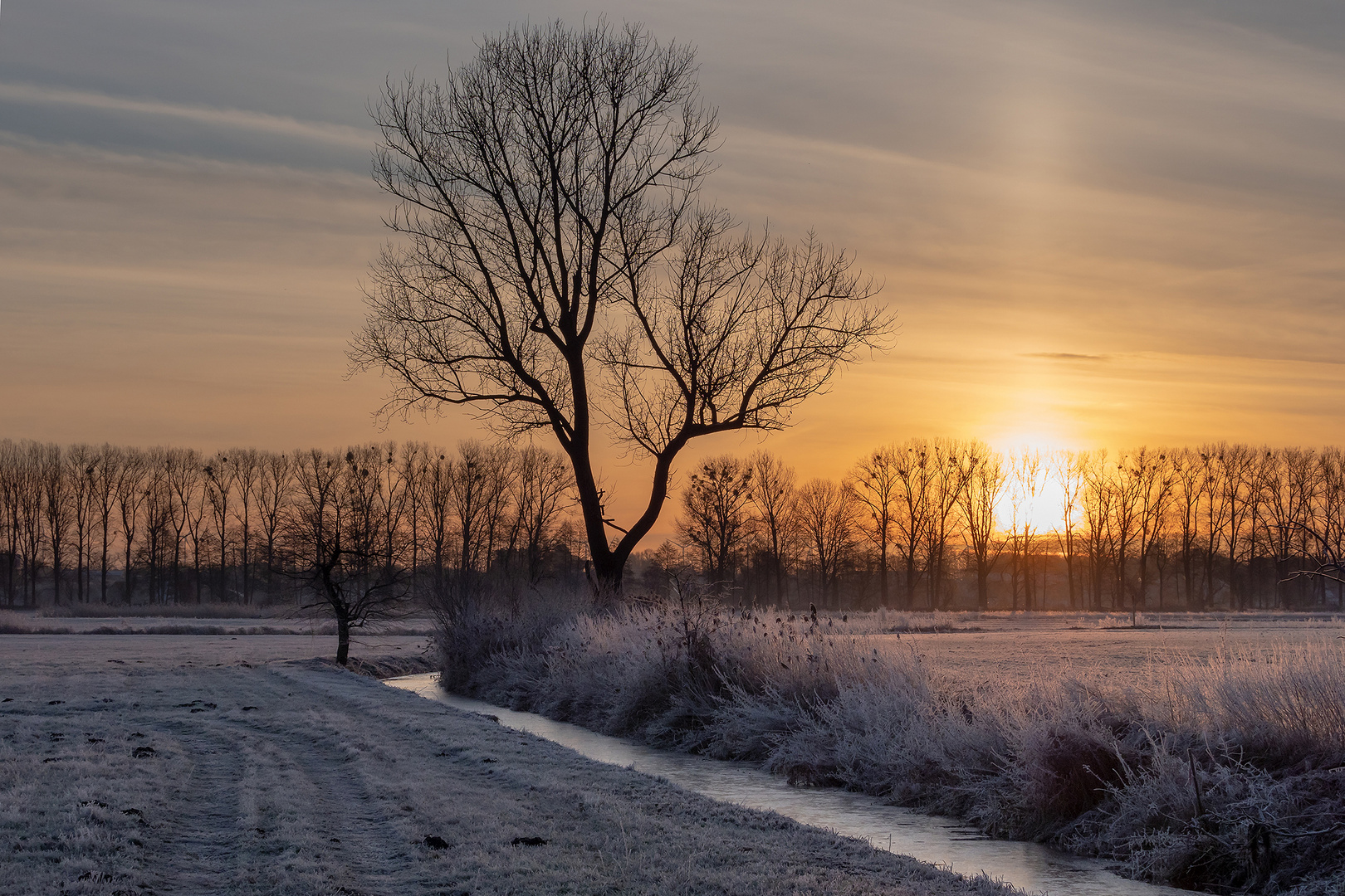 Ein frostiger Morgen