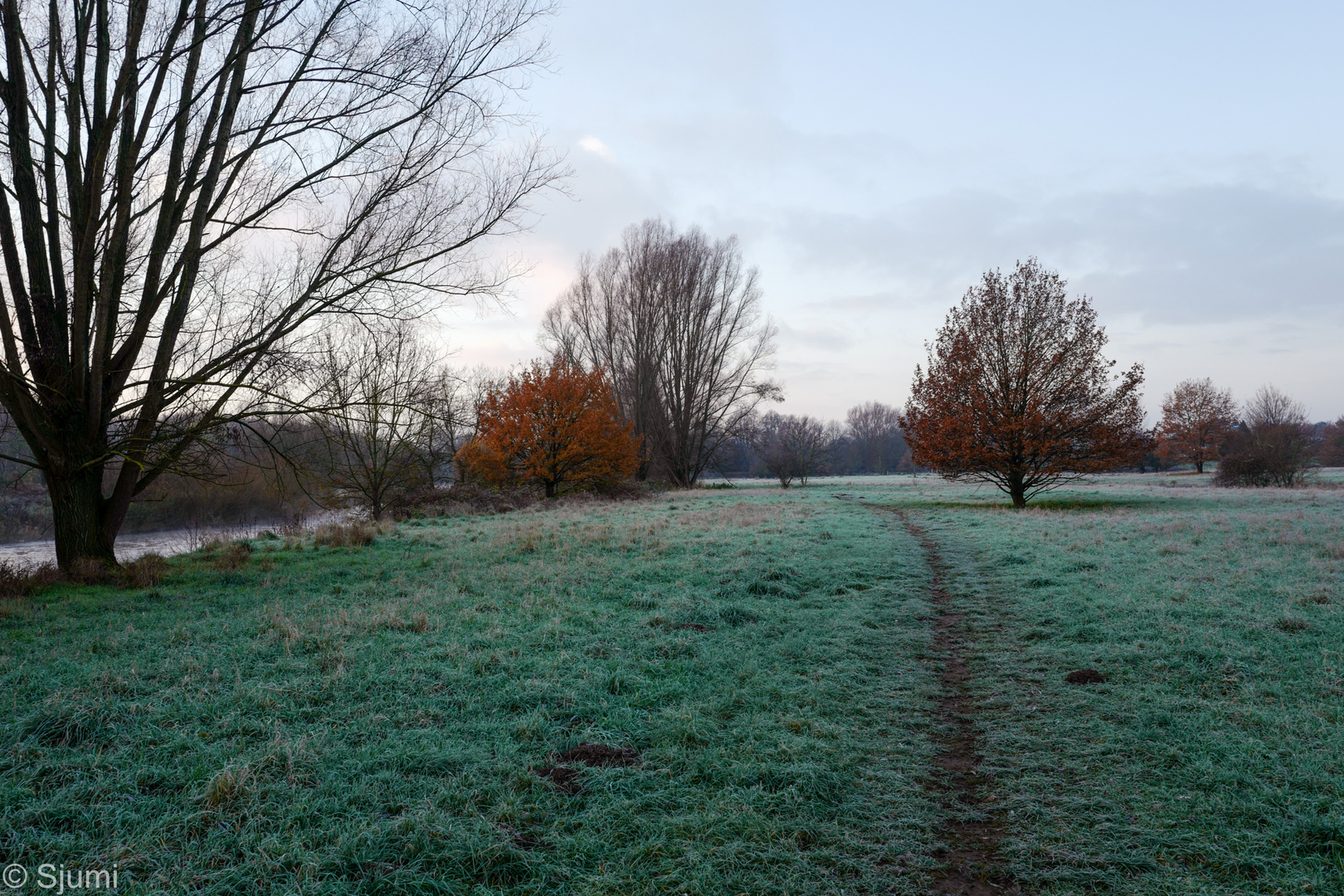 Ein frostiger Morgen