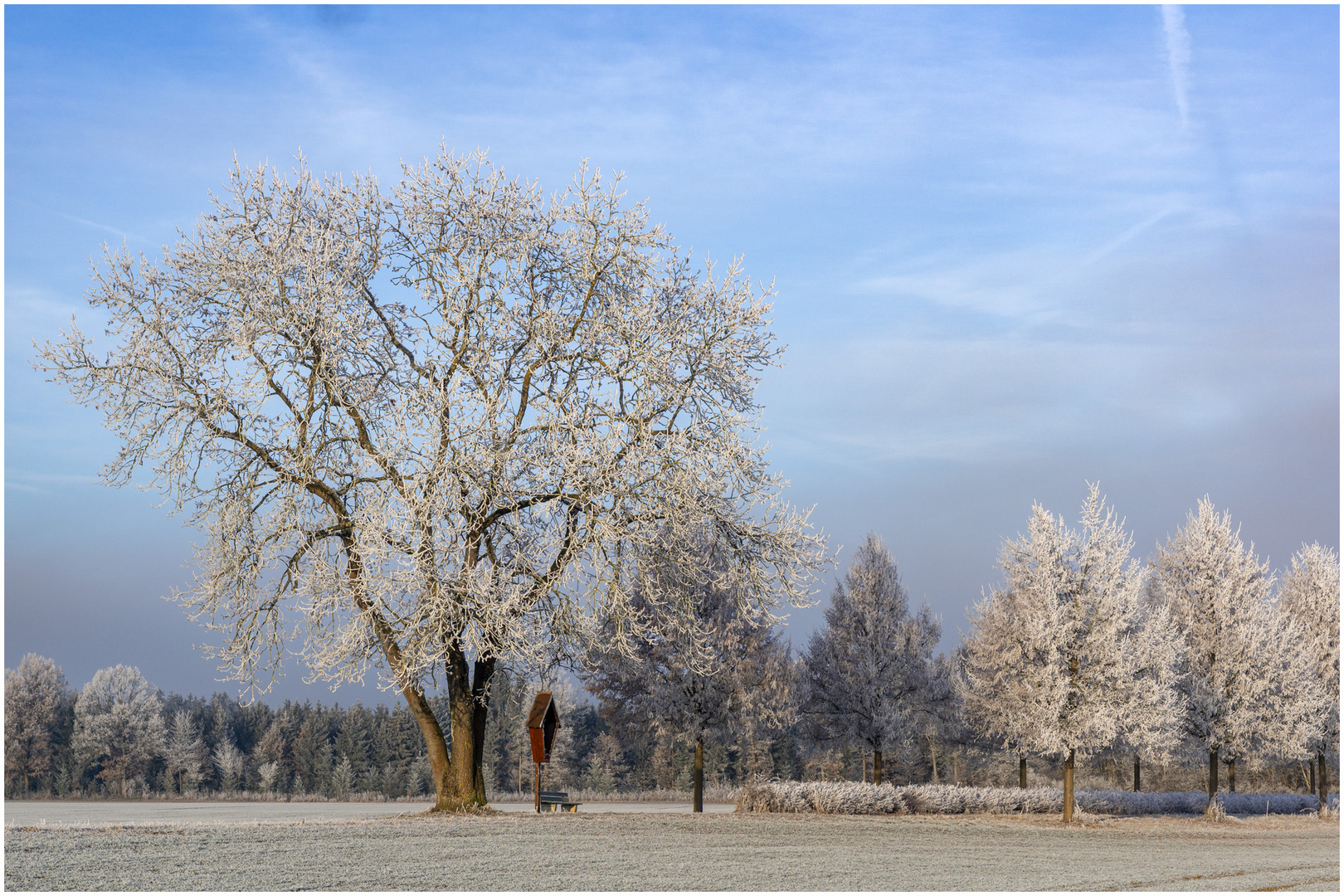 Ein frostiger Morgen