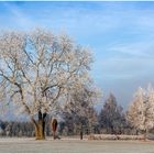 Ein frostiger Morgen