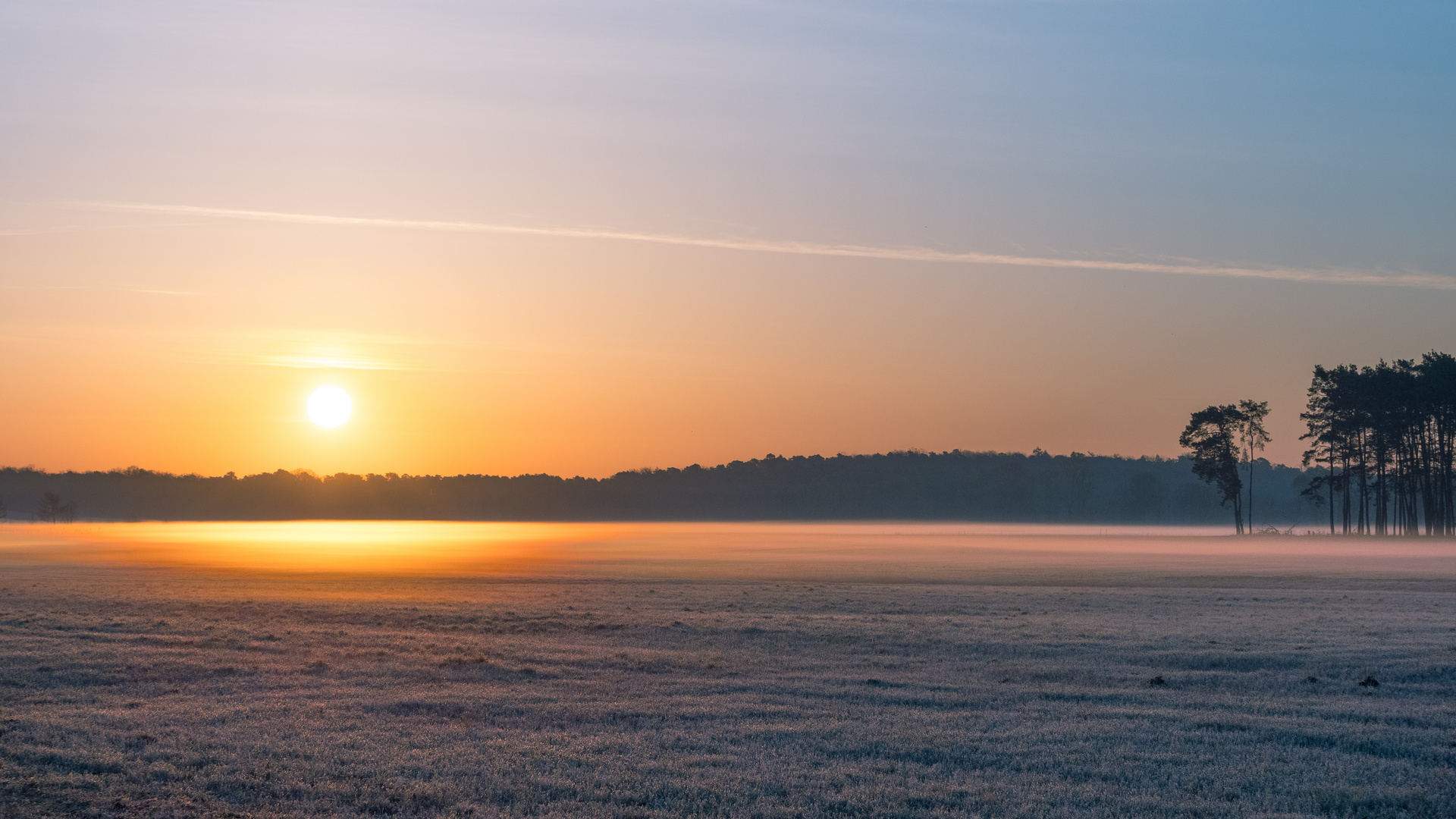 Ein frostiger Morgen