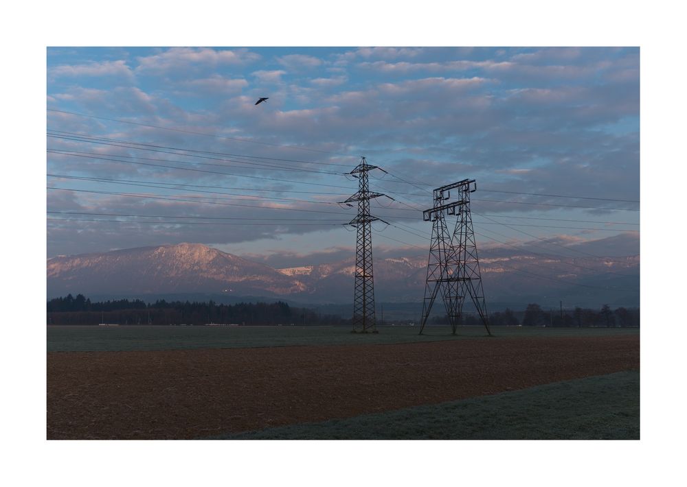 Ein frostiger Morgen