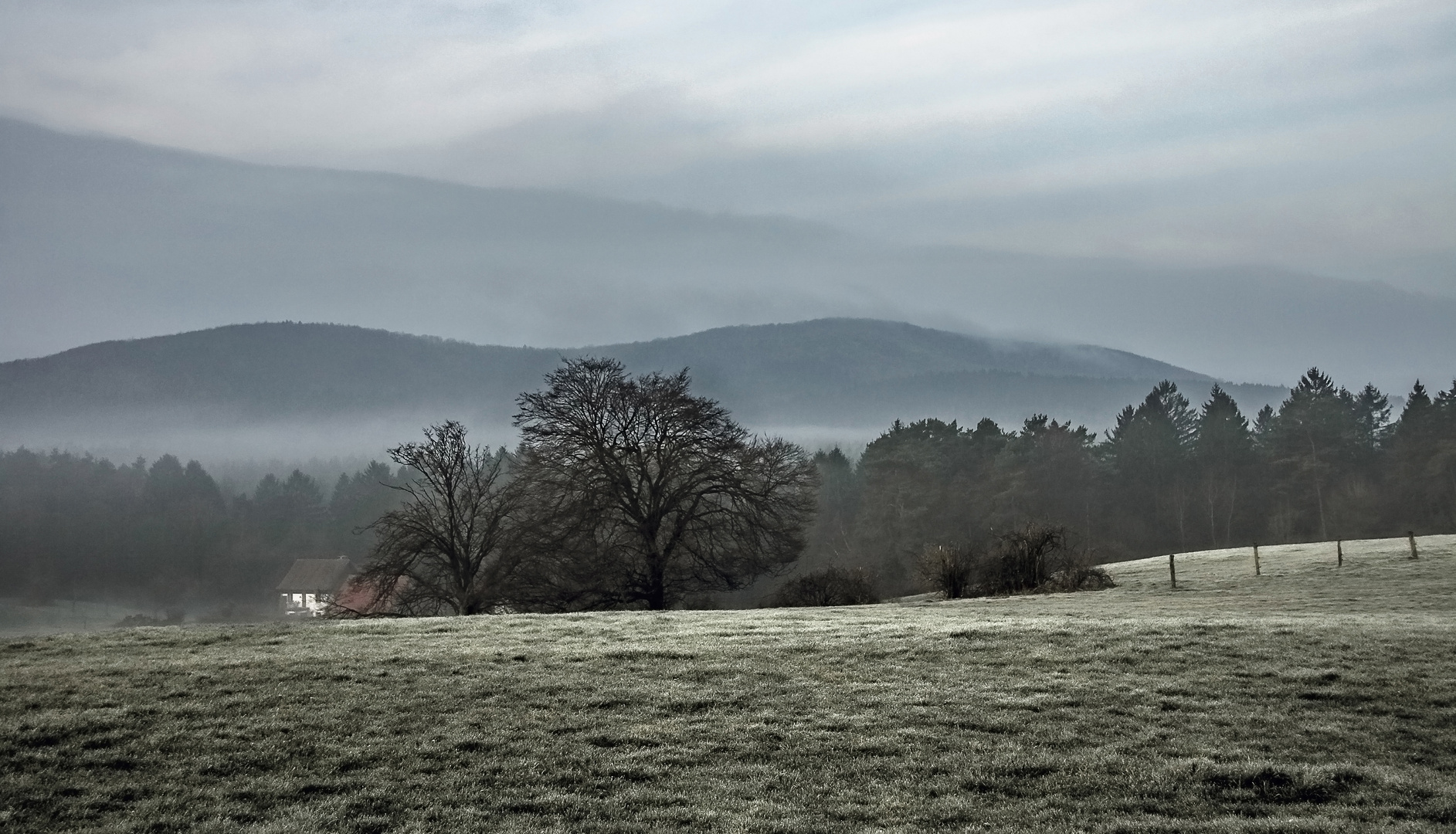 Ein frostiger Morgen