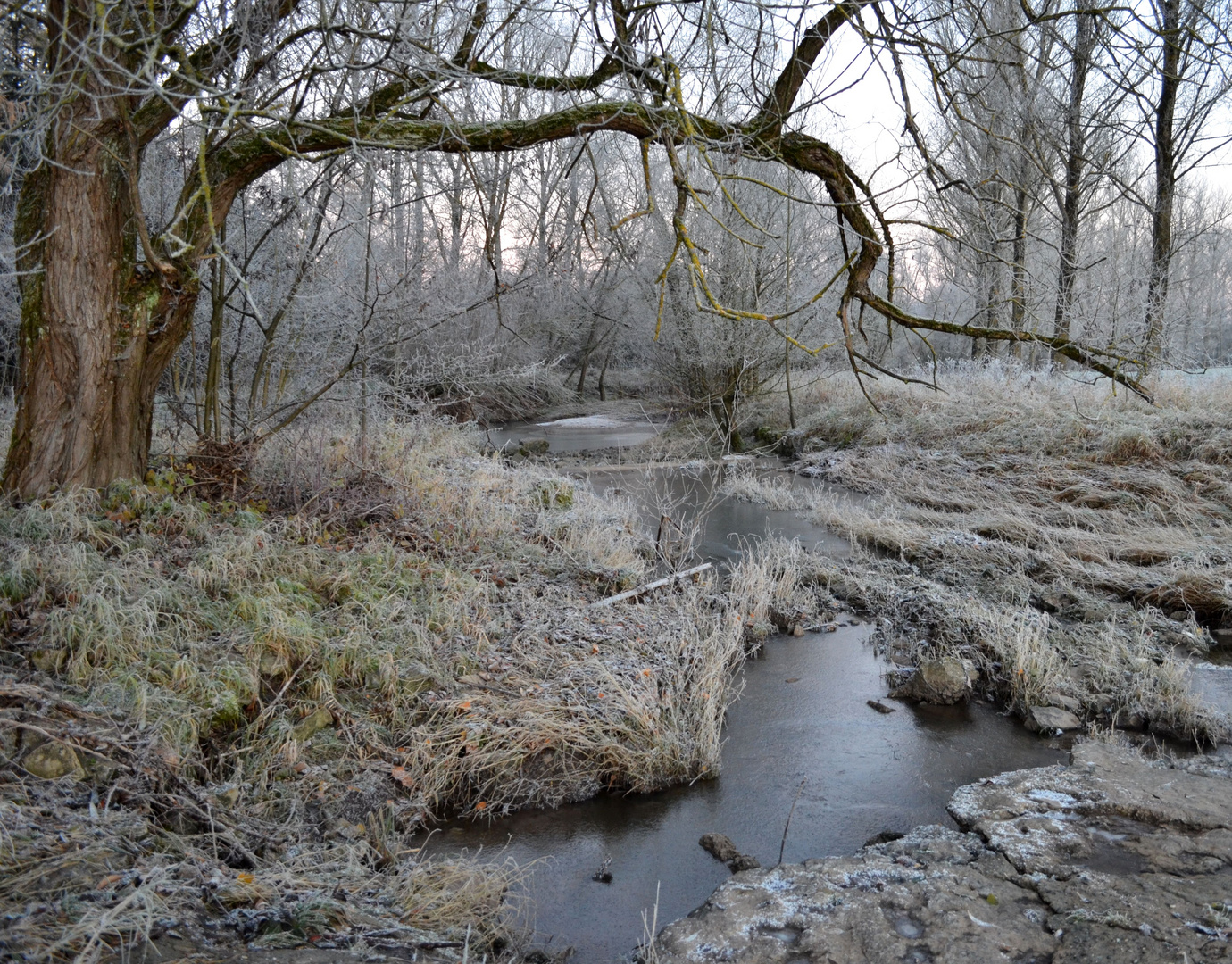 Ein frostiger Morgen ! Heute früh....