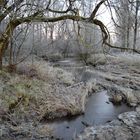 Ein frostiger Morgen ! Heute früh....