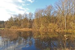 Ein frostiger Morgen in den Bi(e)berauen der Offenbacher Oberwiesen 01