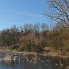 Ein frostiger Morgen in den Bi(e)berauen der Offenbacher Oberwiesen 10