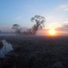 Ein frostiger Morgen in der Schwalm