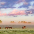 Ein frostiger Oktobermorgen