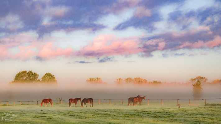 Ein frostiger Oktobermorgen