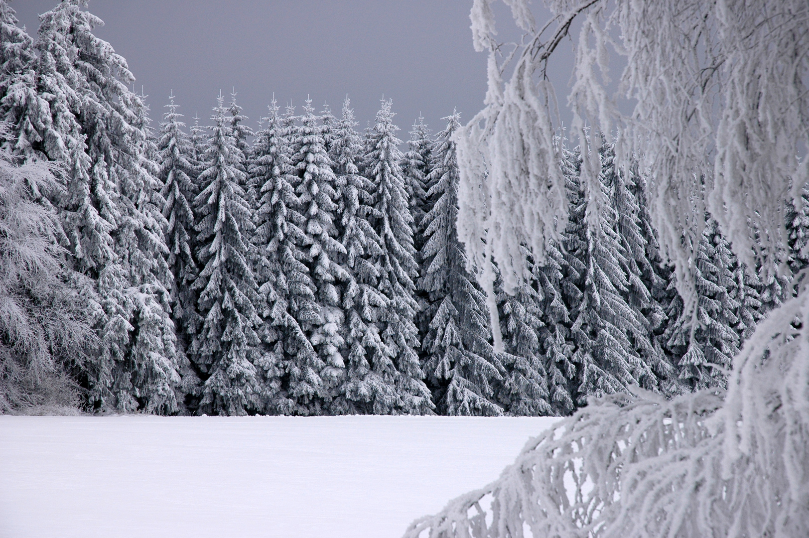 ein frostiger Tag