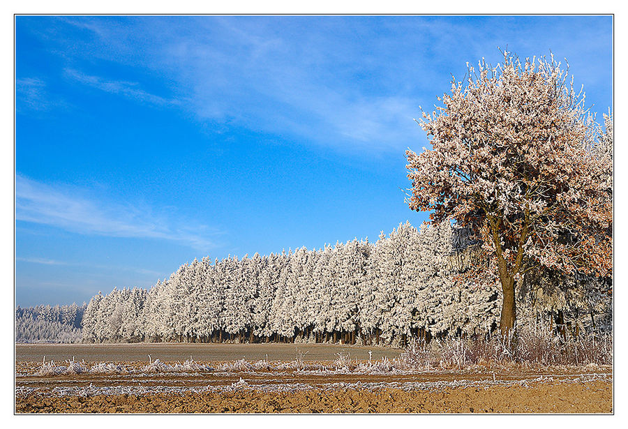 Ein Frostiger Tag 4