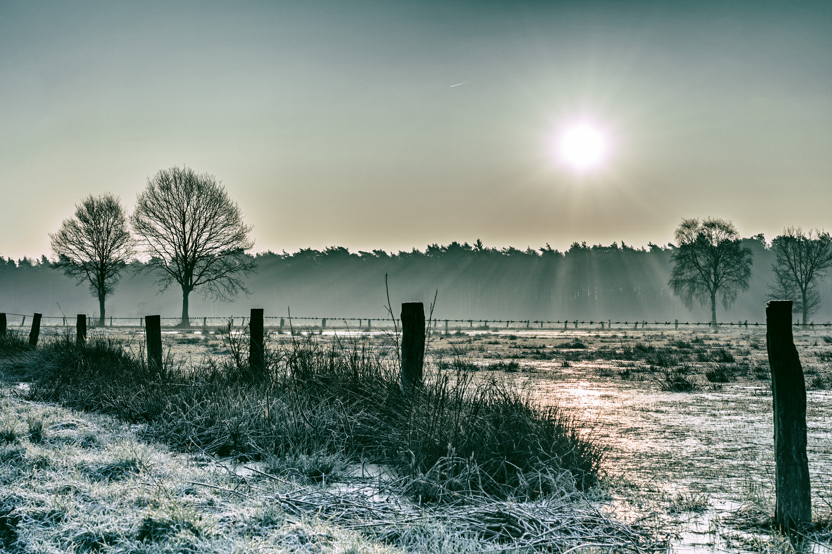 Ein frostiger Tag