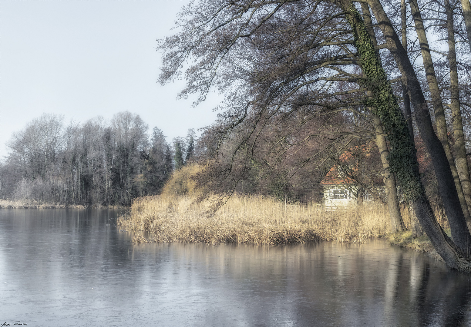 ein frostiger Tag