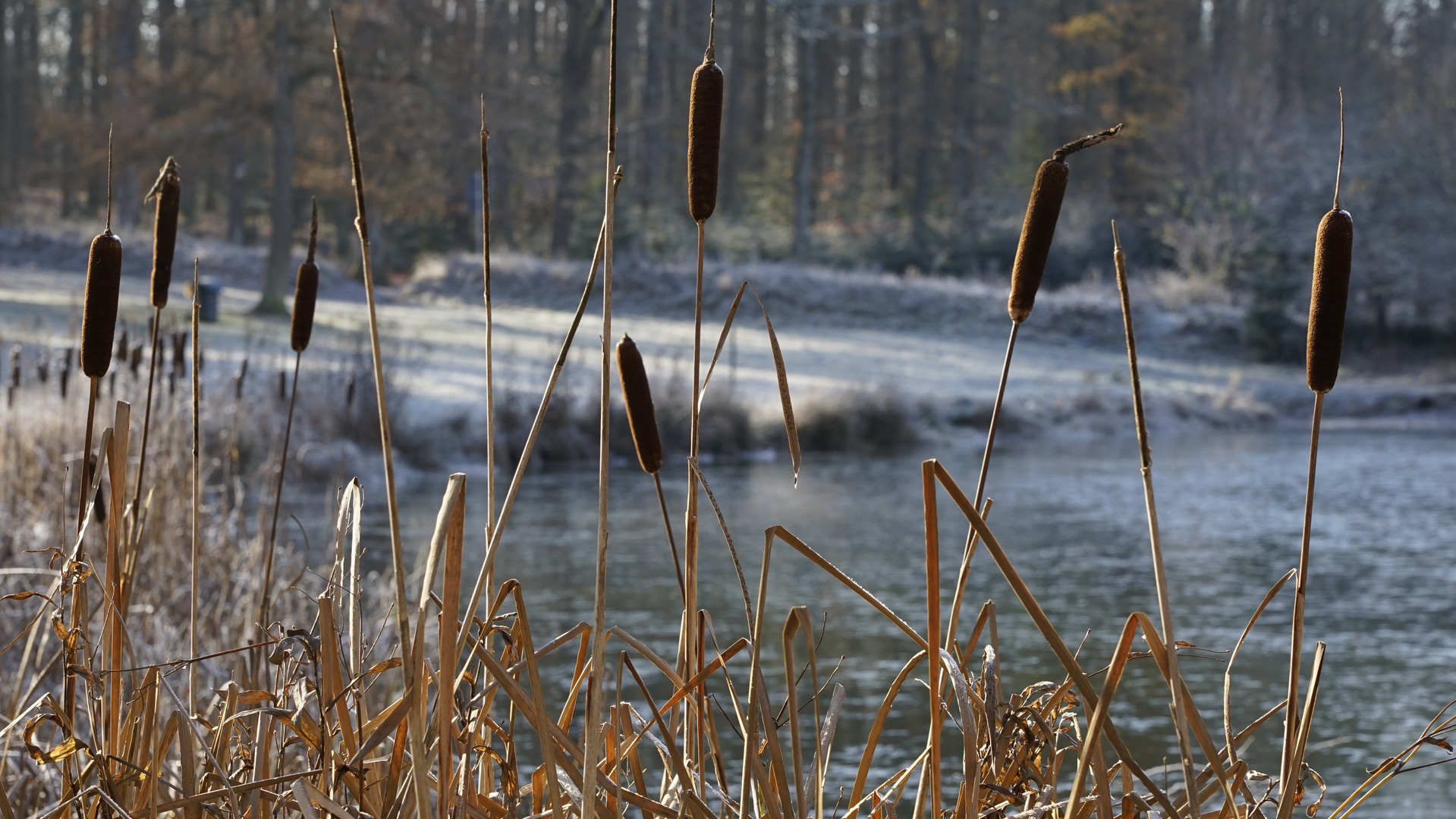 Ein frostiger Vormittag