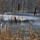 Ein frostiger Vormittag