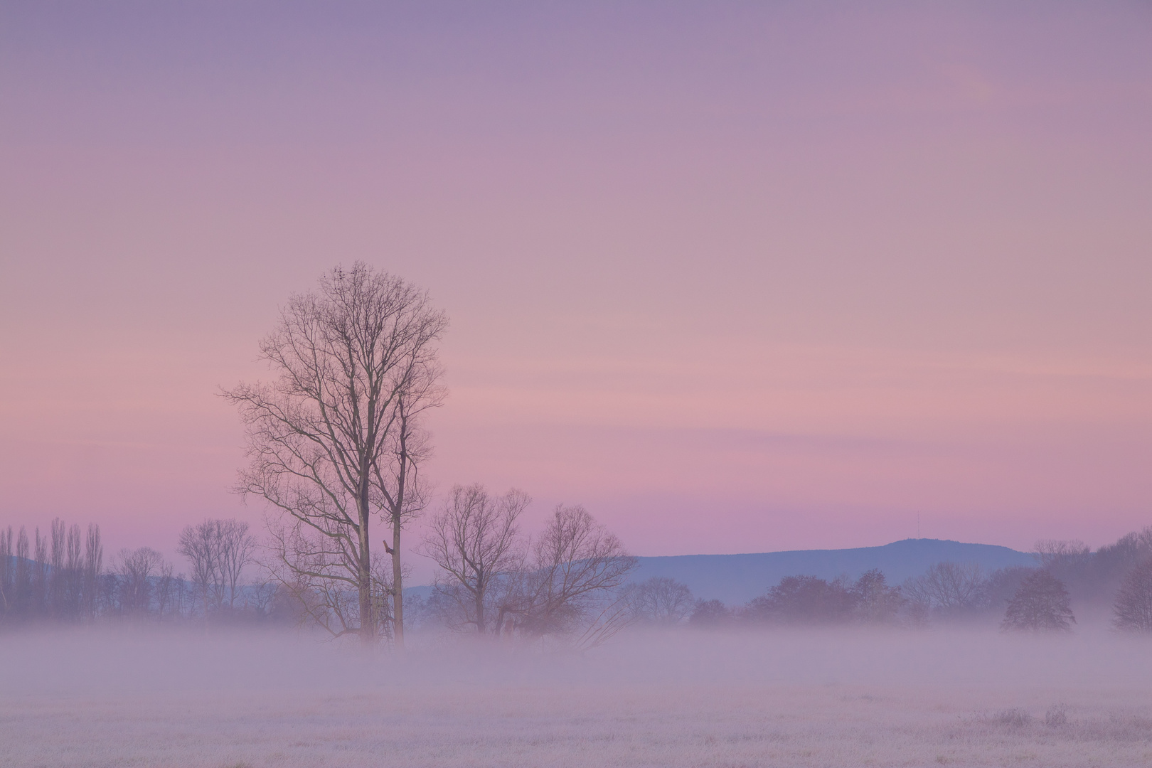 Ein frostiger Wintermorgen