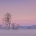 Ein frostiger Wintermorgen