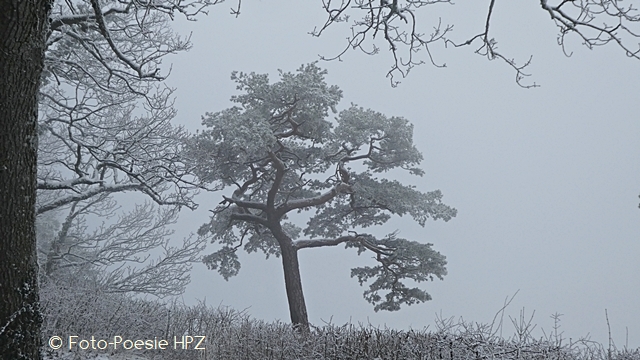 Ein frostiger Wintertag...