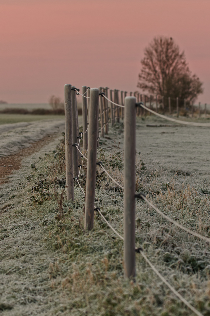 Ein frostiges Morgenrot